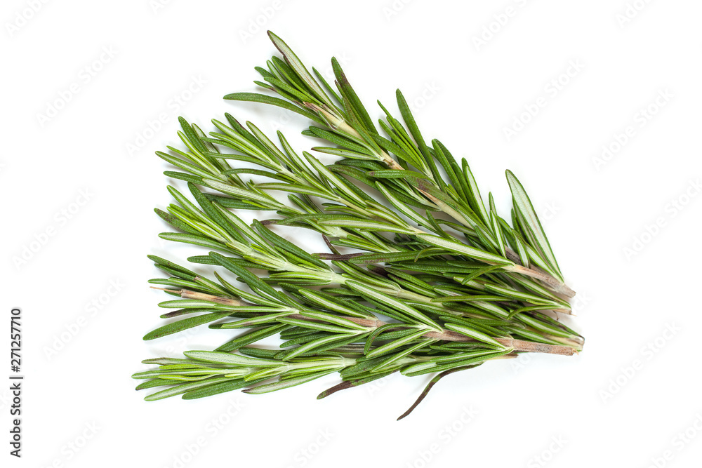 Fototapeta premium Fresh green rosemary twig on white background