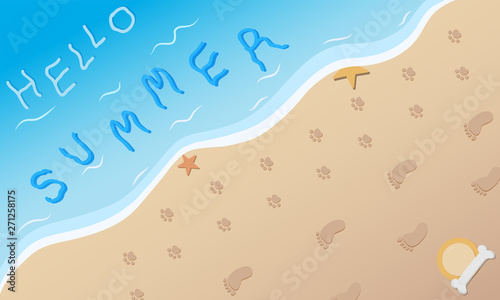 Top view. dog and person footprint on beach with bone and frisbee.