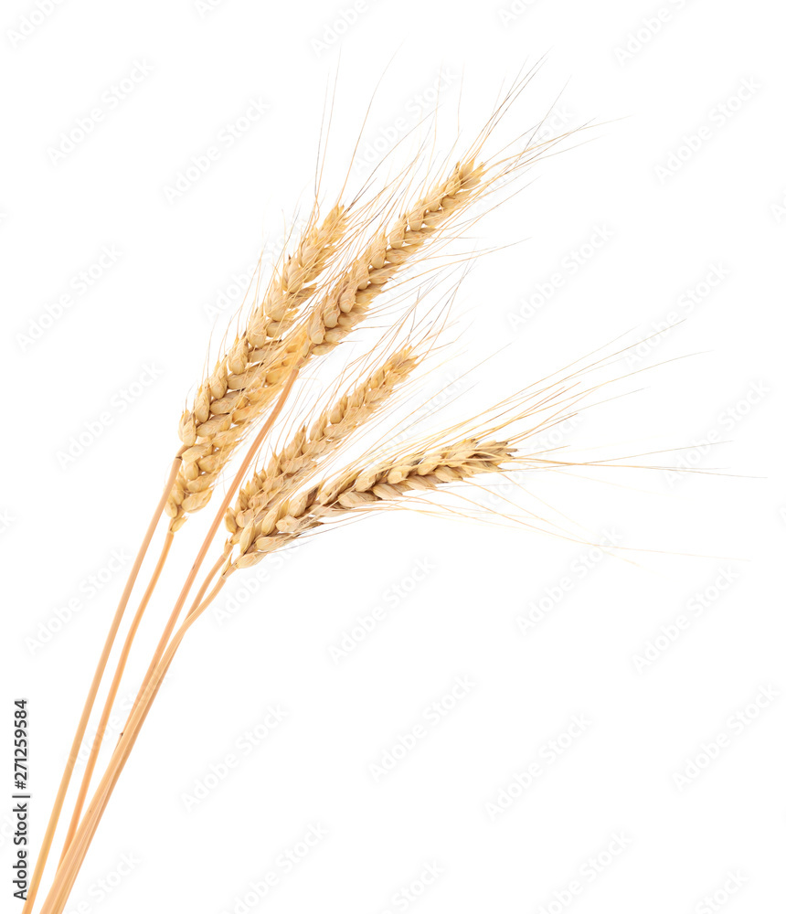 Wheat Bunch on white. Wheat Bunch on white.