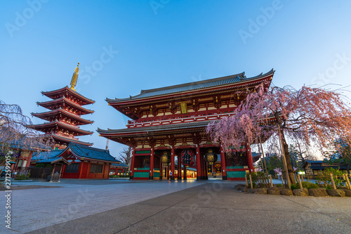 Sensoji Temple with spring cherry blossom in morning, Tokyo, Japan