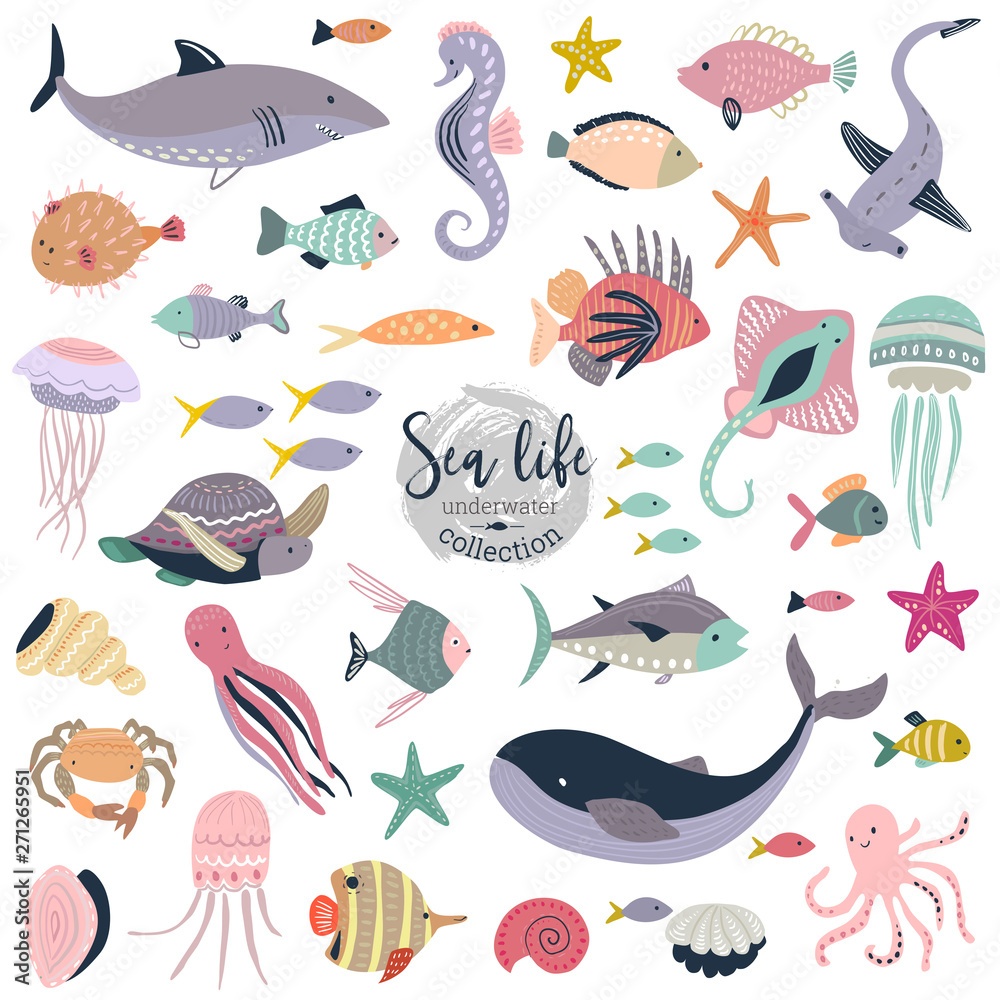 Vector collection of cute underwater animals and fish. Vector collection of cute underwater animals and fish.
