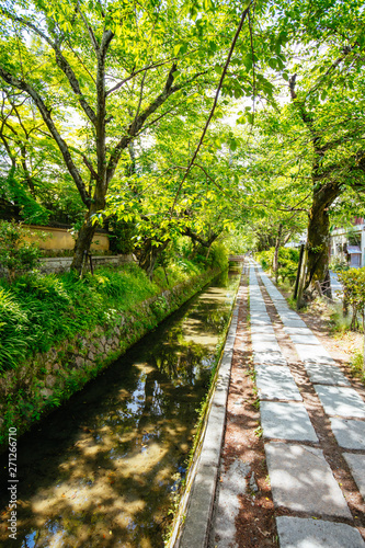 Philosopher's Walk in Kyoto Japan