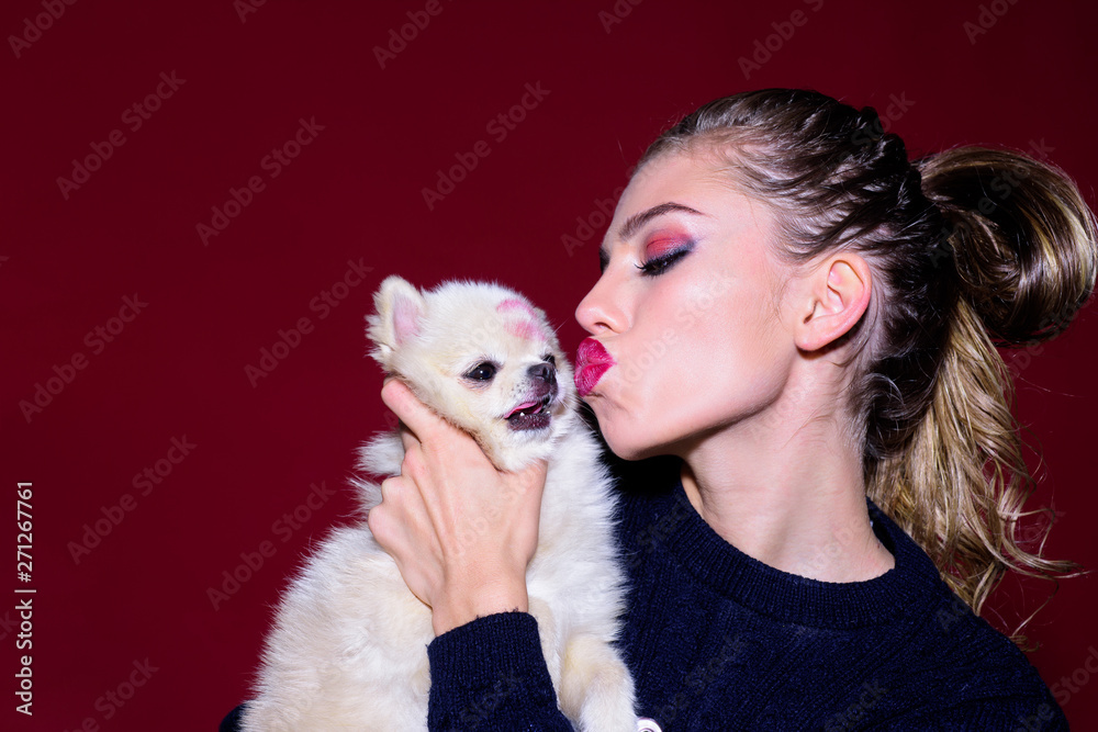 Love to animals. Friendship, love. Woman kisses sweet puppy. Woman and dog. Pets concept. Sexy girl hugs little dog. Adorable girl with small cute dog. Woman with pomeranian spitz. Dog after grooming. Love to animals. Friendship, love. Woman kisses sweet puppy. Woman and dog. Pets concept. Sexy girl hugs little dog. Adorable girl with small cute dog. Woman with pomeranian spitz. Dog after grooming.