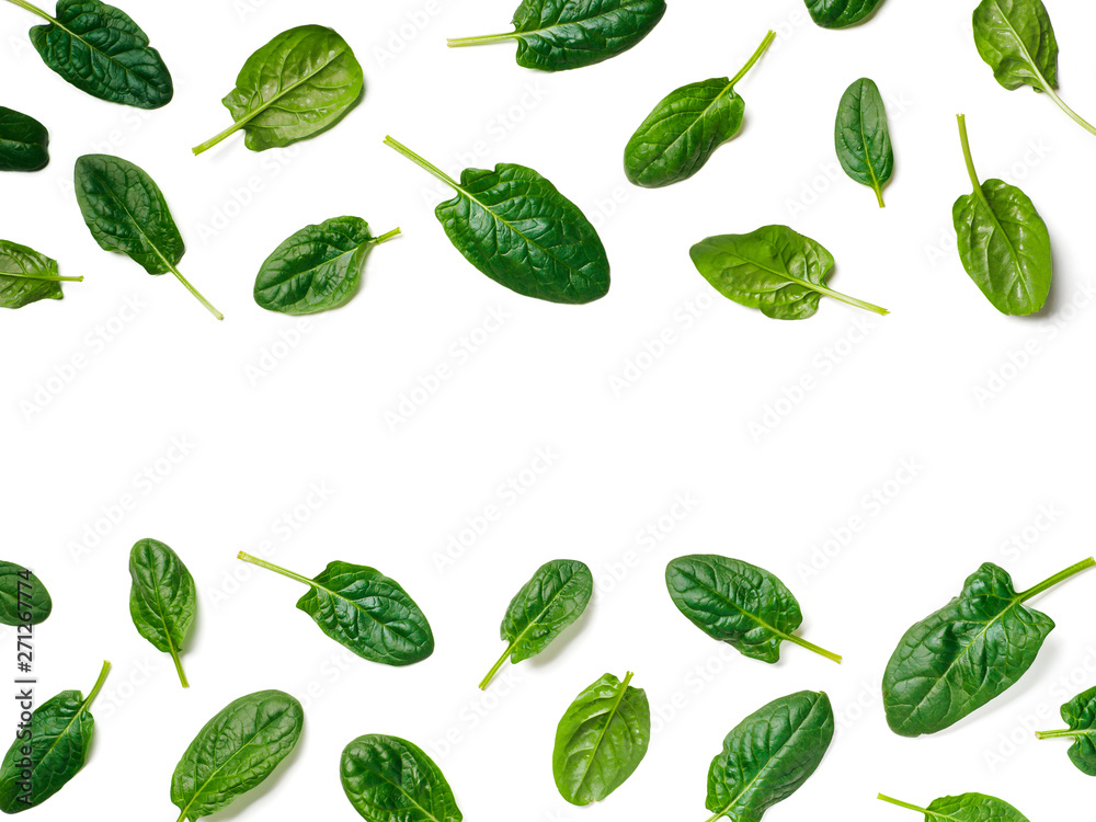 Pattern from baby spinach leaves with copy space in center. Fresh green baby spinach isolated on white with clipping path. Top view or flat lay. Can use for design vegan and keto diet Pattern from baby spinach leaves with copy space in center. Fresh green baby spinach isolated on white with clipping path. Top view or flat lay. Can use for design vegan and keto diet