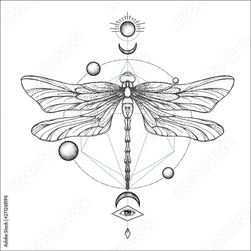 Hand drawn engraving Sketch of Dragonfly. Vector illustration for tattoo and handmade decorative brooch. Can be used for for postcard, t-shirt, fabric bag or poster. Insect collection.