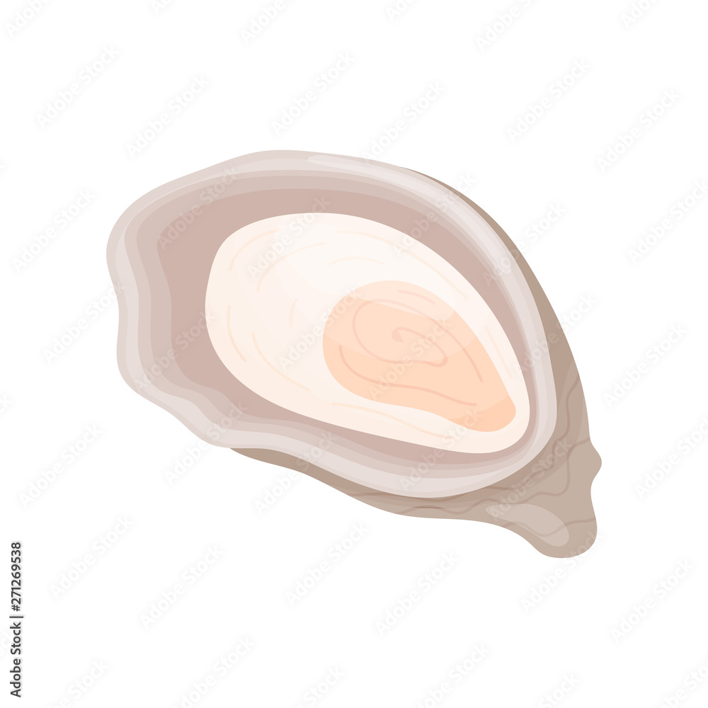 Raw oyster in the sink. Vector illustration on white background. Raw oyster in the sink. Vector illustration on white background.