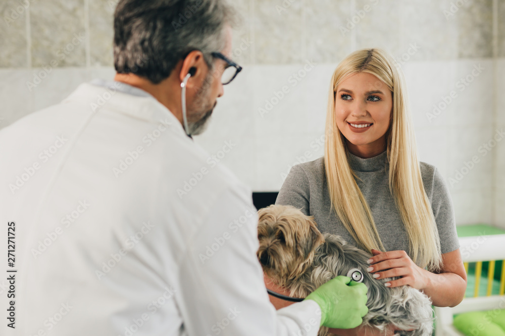 woman with her pet at the veterinary clinic. veterinarian examines dog woman with her pet at the veterinary clinic. veterinarian examines dog