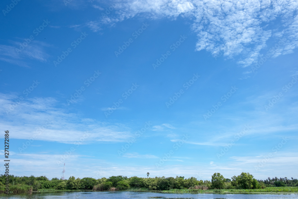 White clouds and blue sky with trees of beautiful view landscape use for advertisement , background and wallpaper