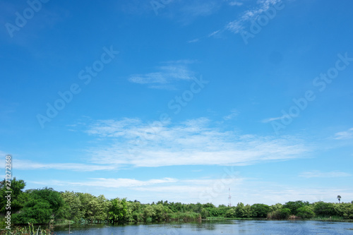 White clouds and blue sky with trees of beautiful view landscape use for advertisement   background and wallpaper