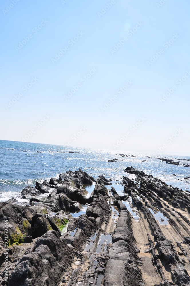 湘南の海 湘南の海