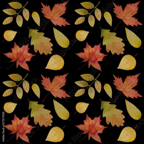 Wallpaper Mural Beautiful watercolor seamless pattern with autumn leaves on a black background for your design project  Torontodigital.ca