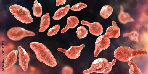 Bacteria Mycoplasma genitalium, 3D illustration. The causative agent of sexually transmitted infections and infertility photo