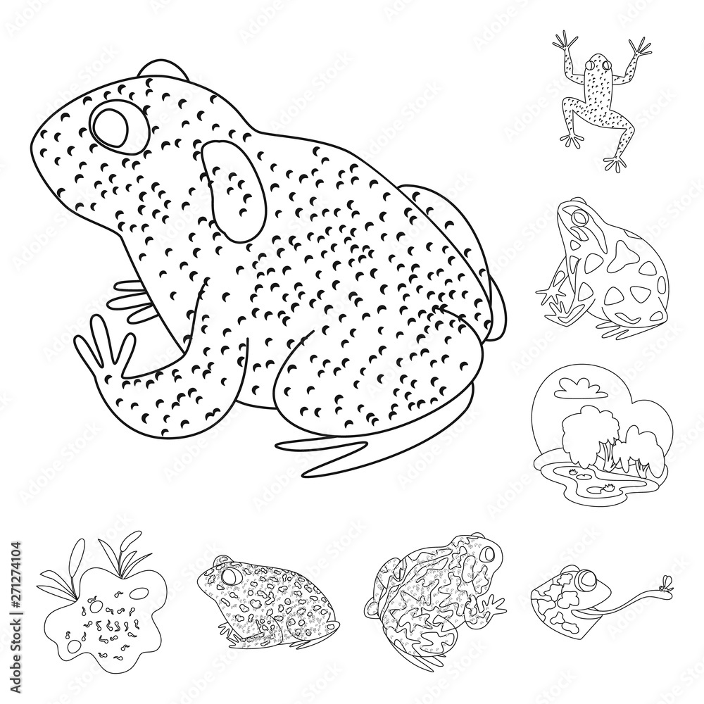 Vector design of amphibian and animal icon. Set of amphibian and nature vector icon for stock. Vector design of amphibian and animal icon. Set of amphibian and nature vector icon for stock.