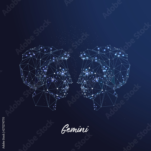 Zodiac sign Gemini. The symbol of the astrological horoscope. Polygonal illustration