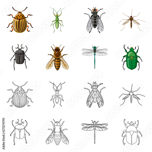 Vector illustration of insect and fly logo. Set of insect and element vector icon for stock.
