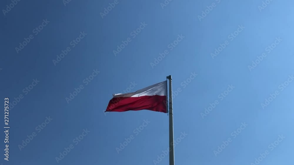 Polish flag waving at blue background Polish flag waving at blue background