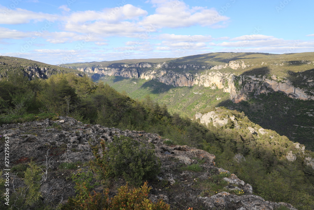 randonnée dans les gorges du Tarn randonnée dans les gorges du Tarn