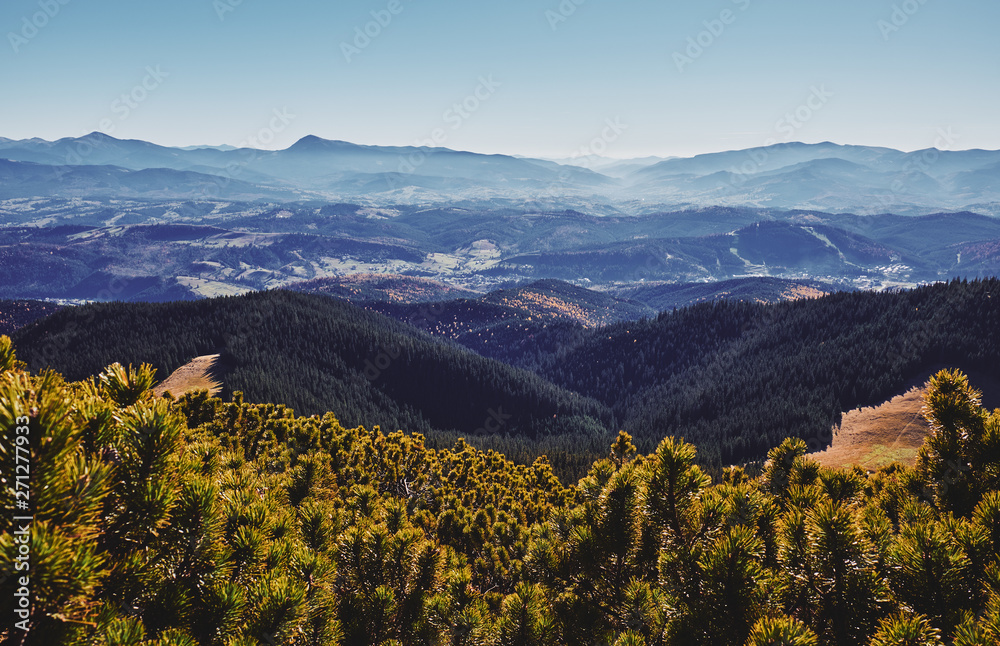Landscape of The Carpathian Mountains in autumn