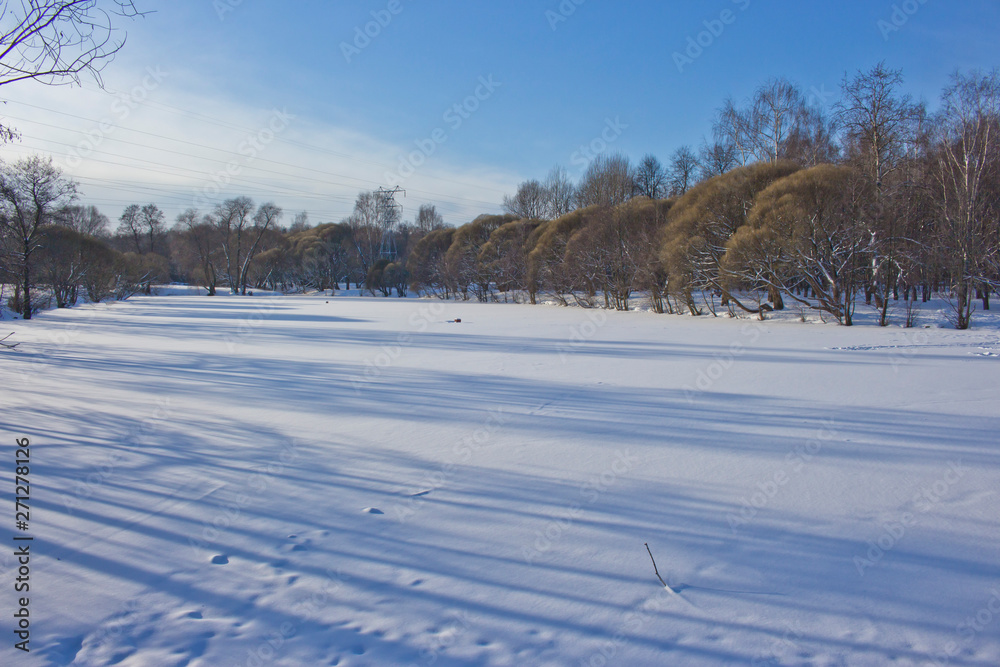 Fototapeta premium winter rural landscape with snowy trees and snow