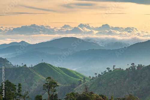 Complexity of mountain landscape and tree diversity of forest with beautiful low clouds on top - morning golden light