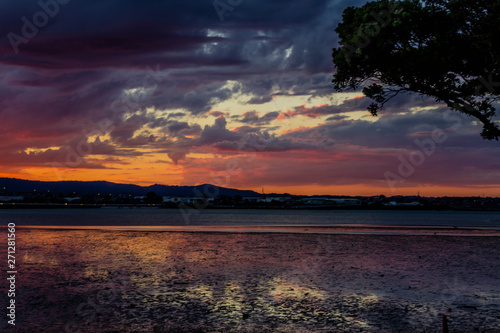 Golden sunsets are the highlight on this beach, Point Chevier, Auckland, New Zealand photo