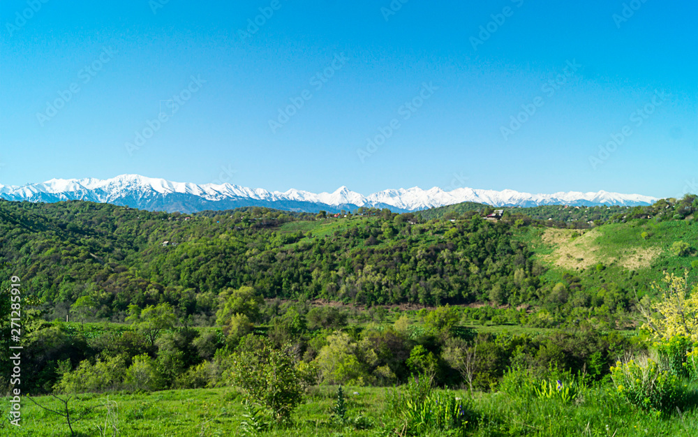 Beautiful green illustration on blue backdrop. Green mountain forest landscape.  Beautiful spring landscape. Mountain tourism, hiking. Sunny spring day. Panoramic view.