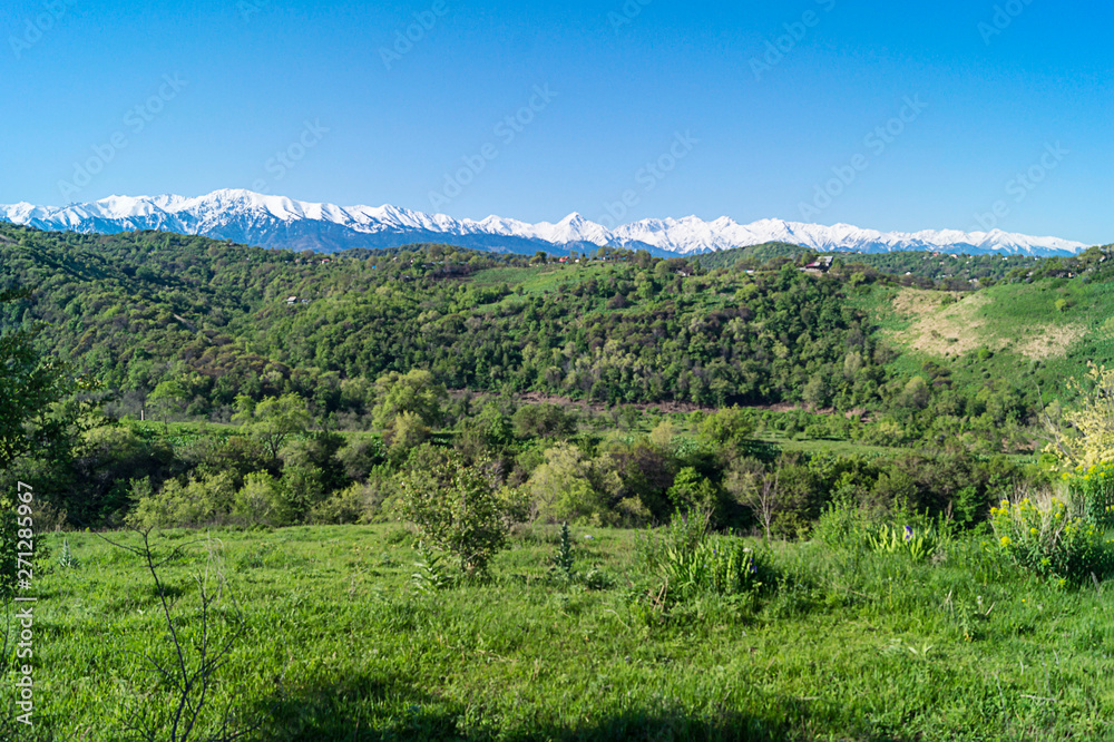 Beautiful green illustration on blue backdrop. Green mountain forest landscape. Beautiful spring landscape. Mountain tourism, hiking. Sunny spring day. Panoramic view. Beautiful green illustration on blue backdrop. Green mountain forest landscape. Beautiful spring landscape. Mountain tourism, hiking. Sunny spring day. Panoramic view.