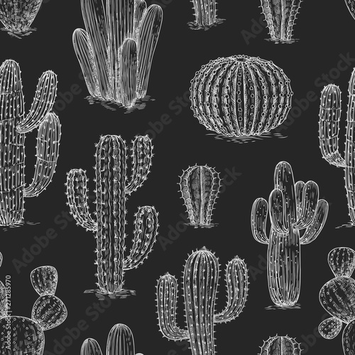 Hand sketched cactus seamless pattern vector design. Illustration of seamless pattern with cactus, summer plants print