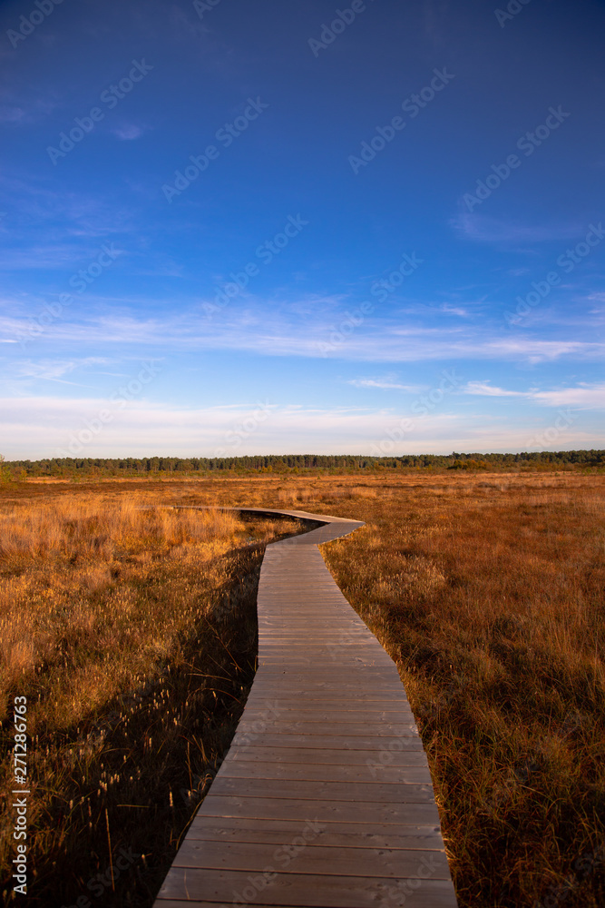 Fototapeta premium path in the field