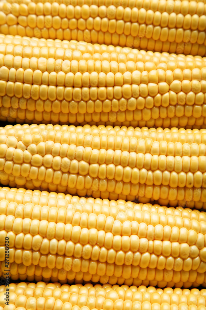 Background of fresh and ripe corn Background of fresh and ripe corn
