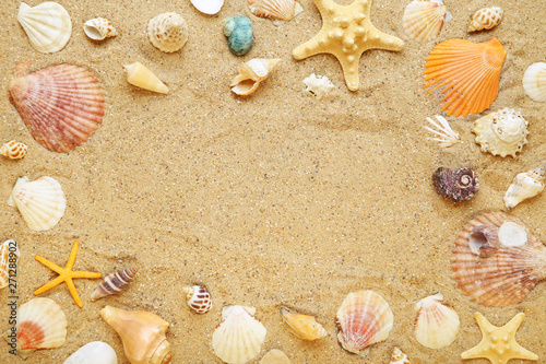 Different seashells on beach sand © 5second