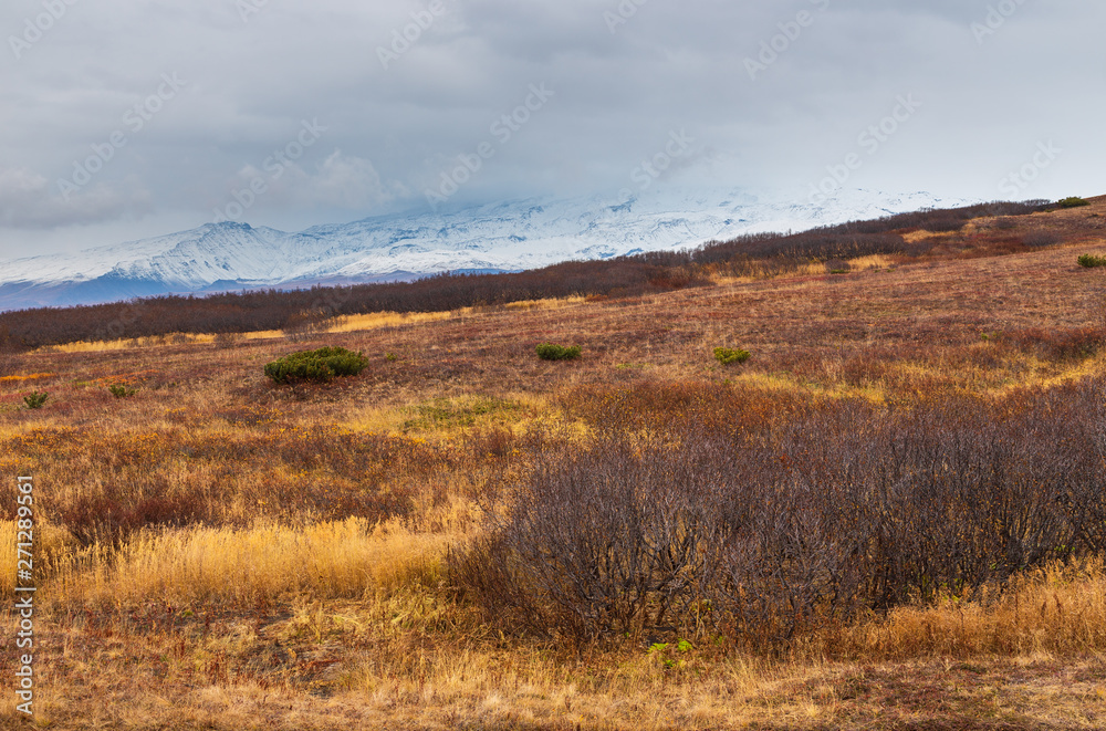 Landscape in autumn colors and mountains in the background. Peninsula Kamchatka, Russia.