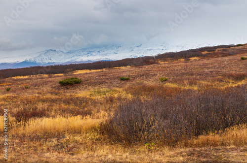 Landscape in autumn colors and mountains in the background. Peninsula Kamchatka  Russia.