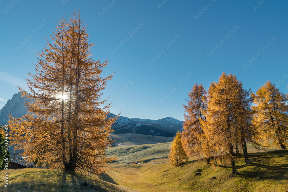 Fototapeta premium Landscape with sunny day in Dolomites mountans