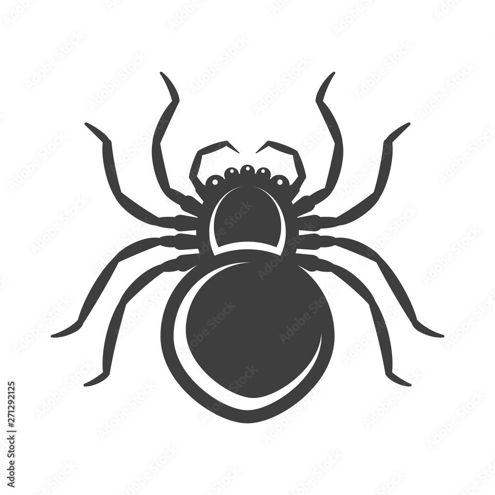 Spider icon. Isolated vector on white background