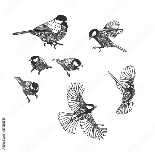 Papier peint tit vector sketch birds set design elements