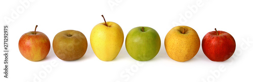 Différentes variétés de pommes photo