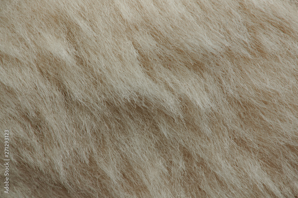 Light brown dog fur Light brown dog fur