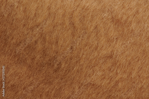 Short brown cub fur