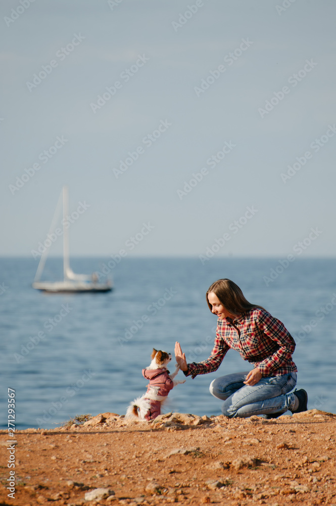 pretty sport young girl in plaid shirt and jeans training obedience her chihuahua pet dog high five paw on sea shore during leisure summer activity