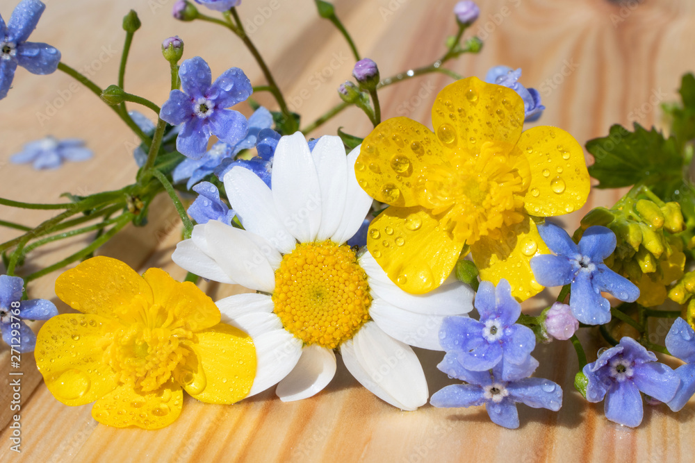 A miniature bouquet of field flowers. The concept of summer bloom. Cozy cute still life suitable for posters, postcards, photo pictures. A miniature bouquet of field flowers. The concept of summer bloom. Cozy cute still life suitable for posters, postcards, photo pictures.