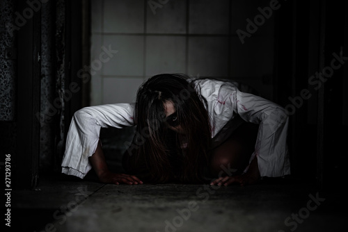 Portrait of asian woman make up ghost face with blood,Horror scene,Scary background,Halloween poster,Thailand people © reewungjunerr