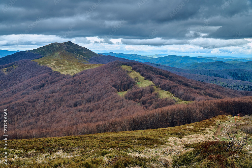 Naklejka premium A beautiful panoramic mysterious view of the forest in the Bieszczady mountains (Poland) on a misty rainy spring May day, nature is lonely - without people