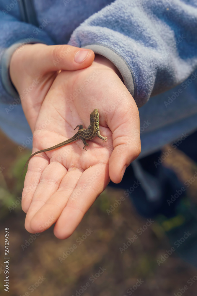 kid holding a small brown lizard