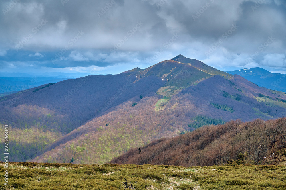 A beautiful panoramic mysterious view of the forest in the Bieszczady mountains (Poland) on a misty rainy spring May day, nature is lonely - without people