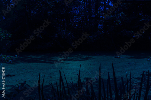 Creepy lake in scary forest © Daniel Doorakkers