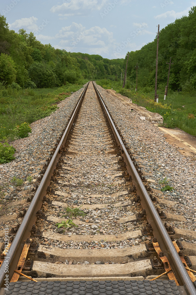 railroad going into the distance through forest railroad going into the distance through forest