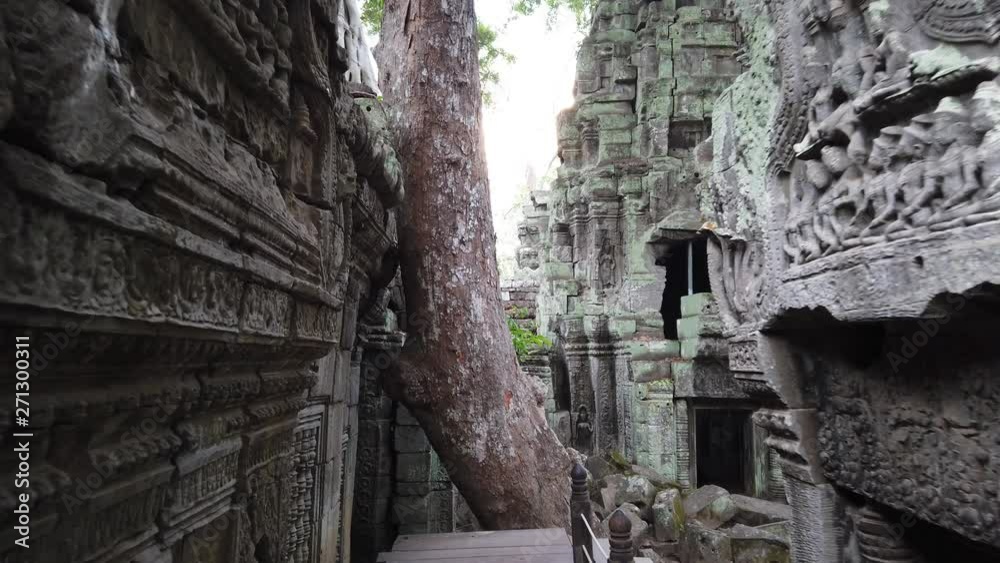 One of the most famous temples of Angkor, TA Prohm is known for its huge trees and roots growing from its walls. One of the most famous temples of Angkor, TA Prohm is known for its huge trees and roots growing from its walls.