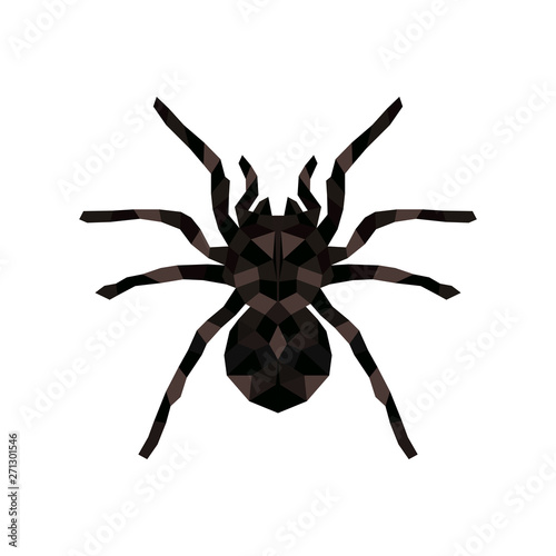 Vector isolated hanging spider for decoration covering creepy Halloween spiderweb. Arachnid nature spooky danger silhouette bug.
