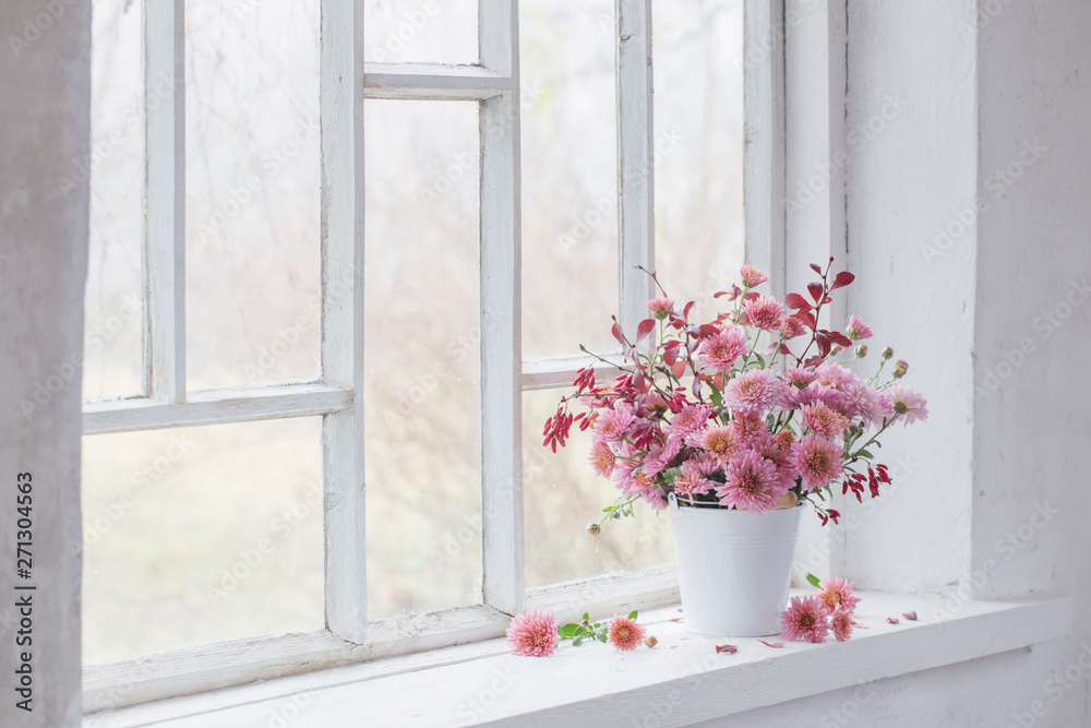 pink chrysanthemums on white windowsill